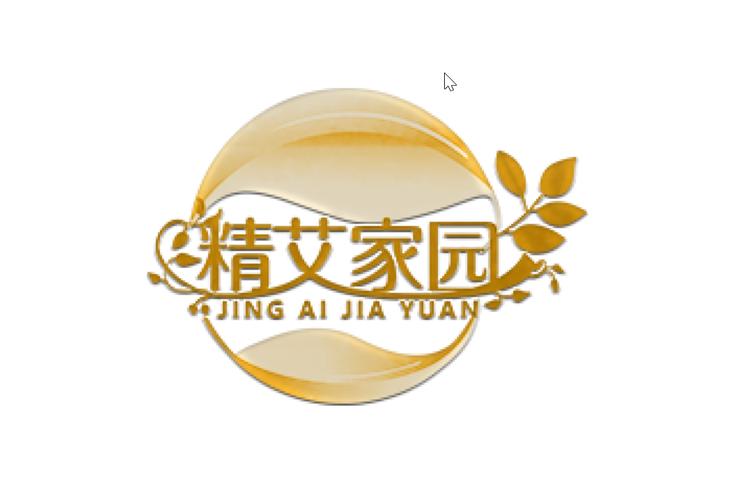 深圳市精艾家园健康投资管理咨询 引领健康产业新格局